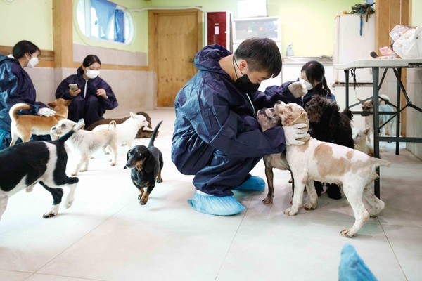 ▲ 한국마사회 봉사단 유기동물보호소 봉사활동.