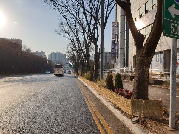 ▲ 평택시 수목 방풍벽 설치 모습.