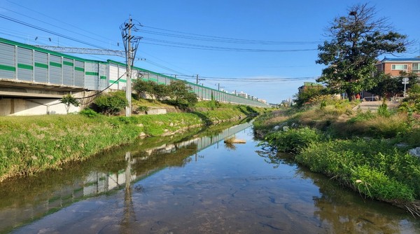▲ 궐동천 생태하천 복원사업 후 모습.