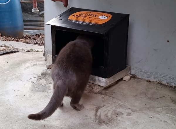 ▲ 길고양이 보온 물그릇 설치 모습.