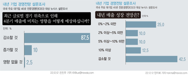 ▲ 내년 기업 경영전망 설문조사. /뉴시스