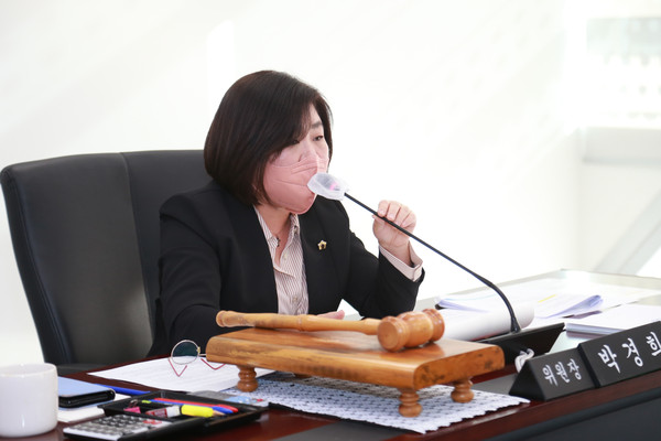 ▲ 성남시의회 박경희 의원.