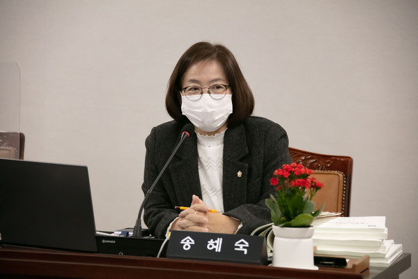 ▲ 송혜숙 의원.