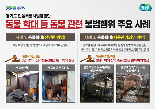 ▲ 동물 관련 불법행위 사례.
