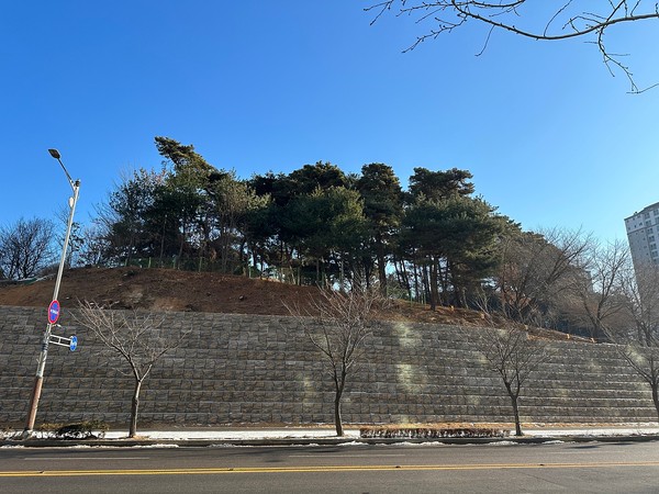 ▲ 걸포중앙공원 사면피해지 복구사업 완료된 모습.