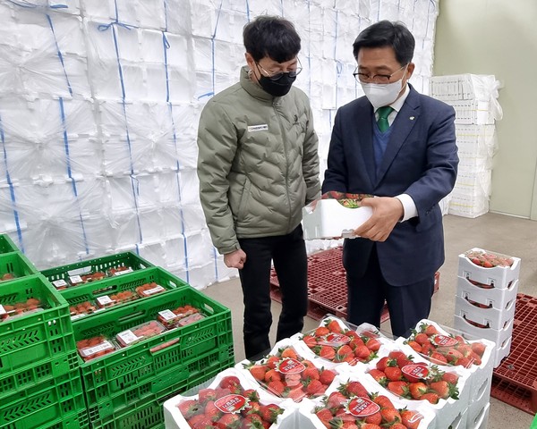 ▲ 김춘진 한국농수산식품유통공사 사장, 새해 첫 현장 행보 나선 모습.