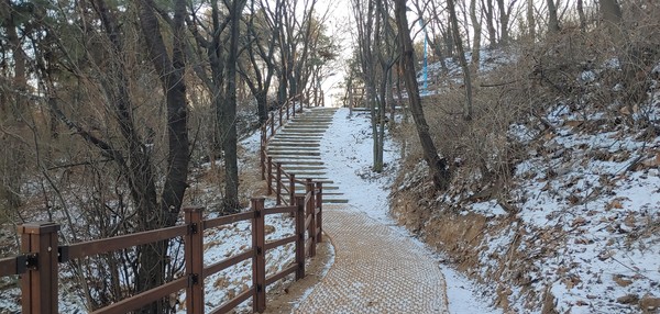▲ 산책로 정비 후 모습.