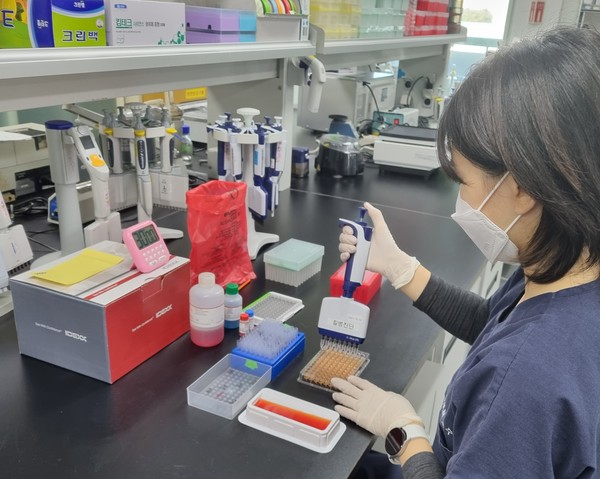 ▲ 돼지질병방제 피드백사업 실험 사진.