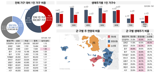 ▲ ‘1인 가구 정책지원체계 구축을 위한 빅데이터 분석 용역’ 현황분석.