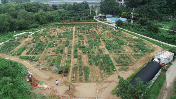 ▲ 공세동 시민농장 전경.