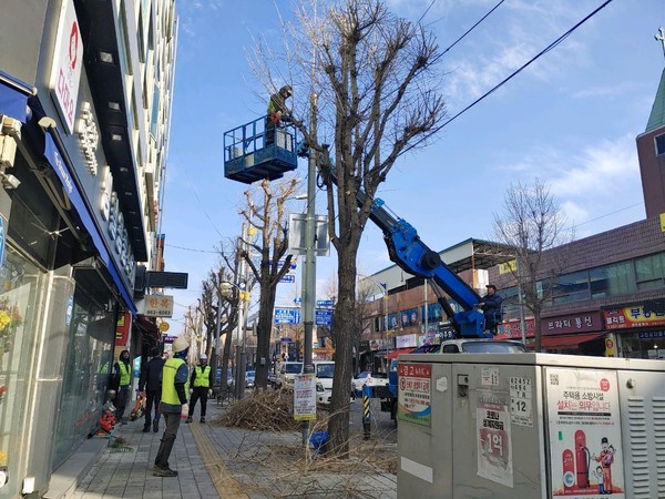 동두천시 상반기 가로수 전정공사 추진