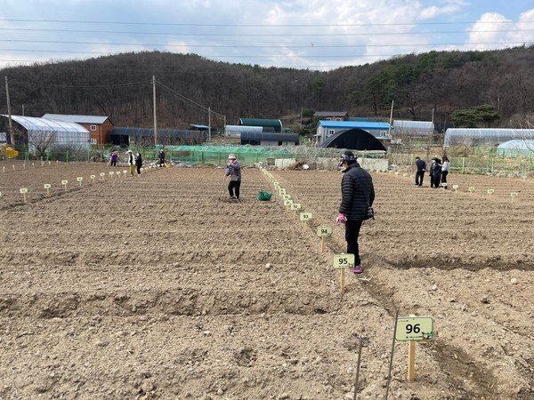 ▲ 의왕시 주말농장.