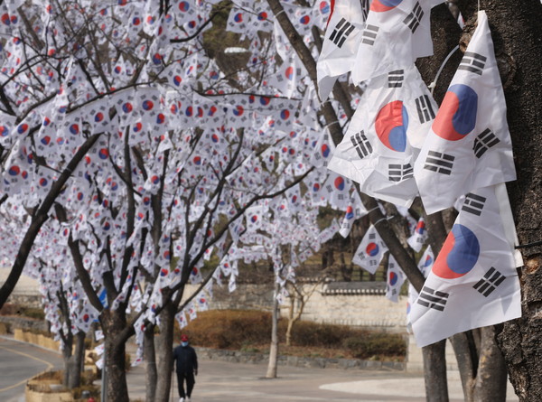 ▲ 삼일절 기리는 태극기거리. /뉴시스
