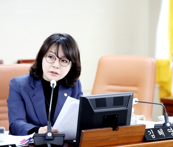 ▲ 김혜영 의원 상임위원회 질의 사진.