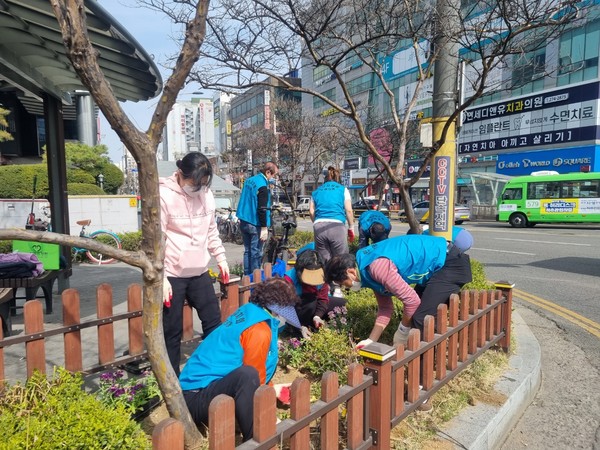 부평5동 주민자치회, 화단에 봄꽃 1천500본 심고 환경정화