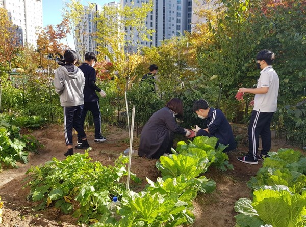 꿈을 키워 주는 ‘학교 치유 텃밭’