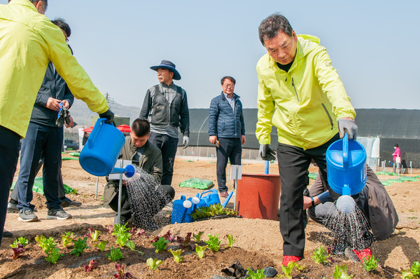 ▲ ‘세곡천 힐링텃밭’ 에 모종을 심고 물을 주고 있는 김형대 의장.