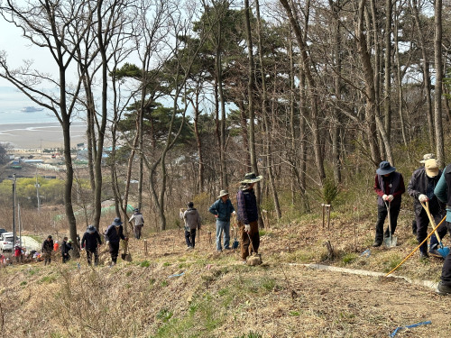 ▲ 옹진군 자월면 제78회 식목일 행사 개최 모습.
