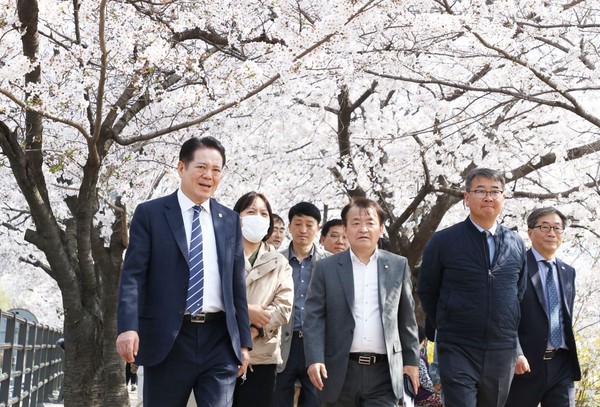 ▲ 안양충훈벚꽃축제 행사장 찾아 현장 점검 실시하고 있는 최대호 안양시장 모습.