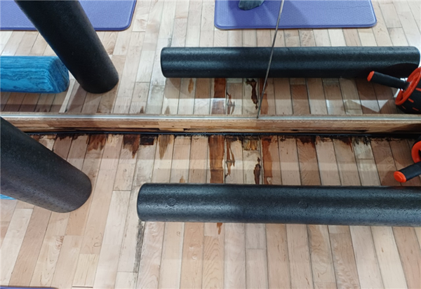 ▲ 동대문구민 체육센터 헬스장 벽면 결로 및 곰팡이 발생 모습.