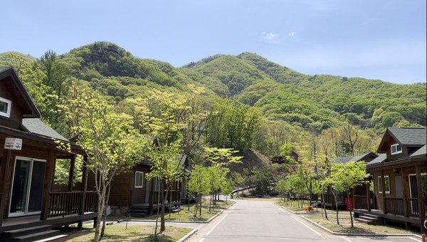 ▲ 연천군 고대산자연휴양림 모습.