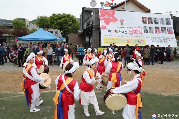 ▲ 성남시 2019년도 철쭉 축제 행사사진.