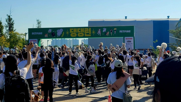▲ 지난해 송도달빛축제공원에서 열린 댕댕런.