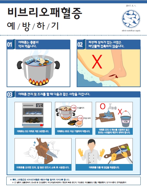 ▲ 옹진군 비브리오 감시사업 안내물.