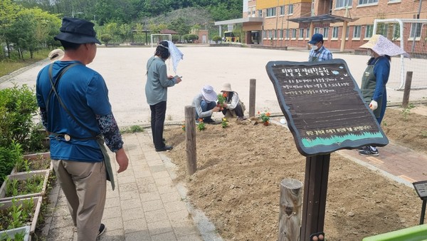 ▲ 양주시 도담학교 치유 텃밭 모습.