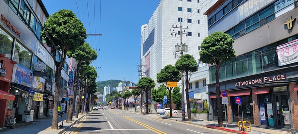 ▲ 이천시 은행나무 가로수 수형조절 작업 모습.