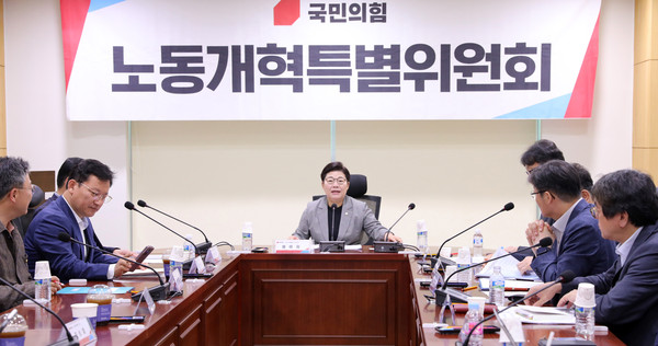 ▲ 발언하는 임이자 노동개혁특위원장. /뉴시스