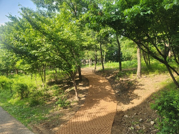 ▲ 산책로 조성 모습.