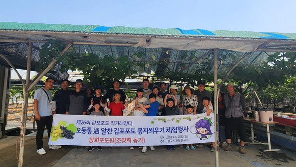 ▲ 오동통통 김포포도 봉지씌우기 체험행사 참여자들 모습.