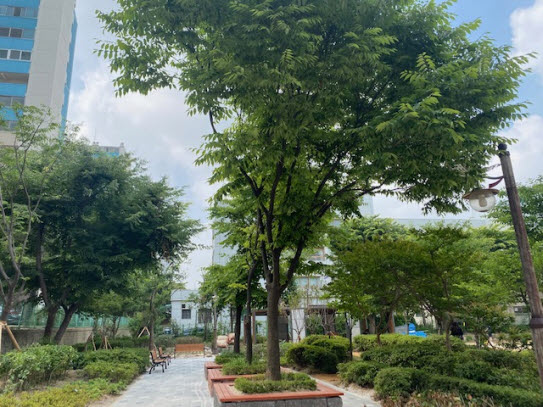 ▲ 부평구 부흥중 학교숲 모습.