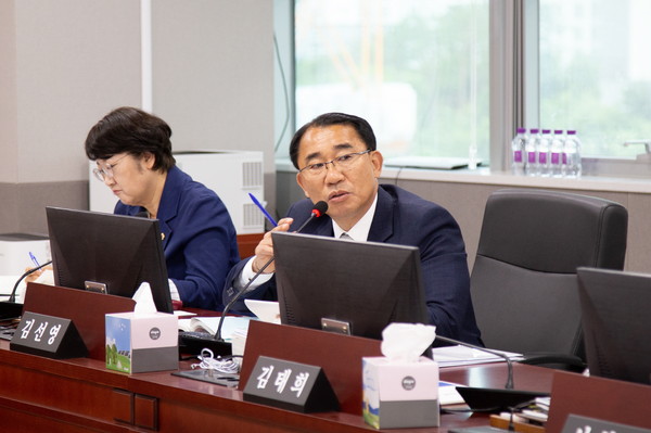 ▲ 경기도의회 김선영 의원.