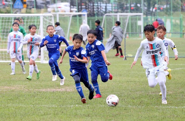 ▲ 지난해 화랑대기 전국 유소년축구대회 모습.