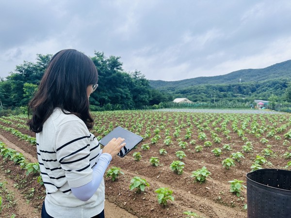 ▲ 공익직불이행점검 사진.