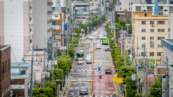 “우리 동네 가로수가 달라졌어요”