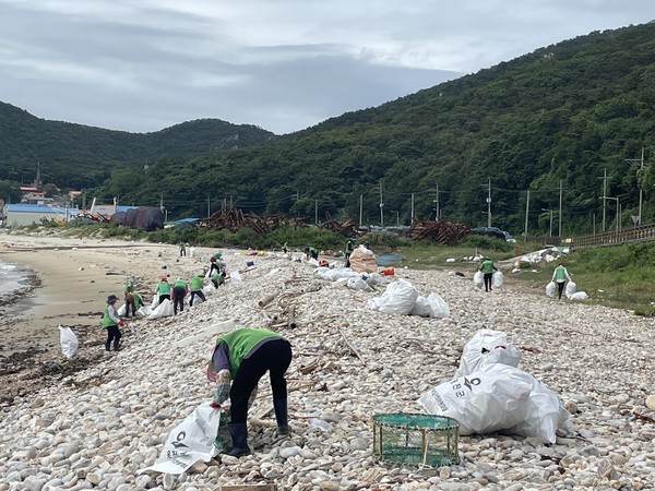 대청면 클린업데이 실시