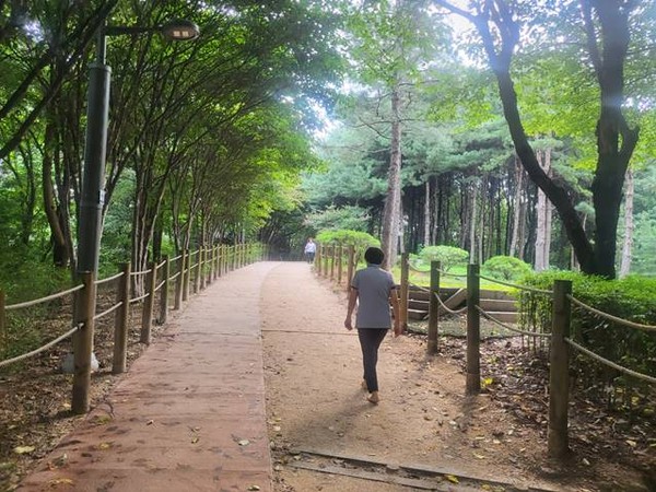 ▲ 숲속 산책로 전경.