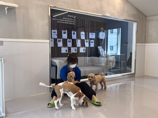 ▲ 반려견과 놀아주는 모습.