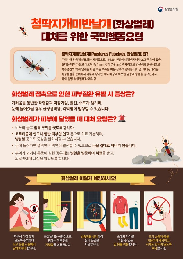▲ 광주시 피부염 유발 청딱지개미반날개(화상벌레) 선제적 예방 위한 집중방역 실시 안내물.