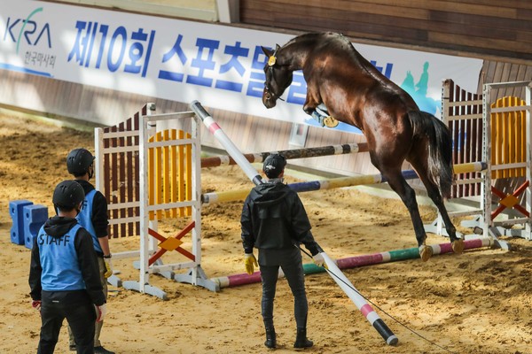 ▲ 2022년 제주 어린말 승마대회 및 품평회.