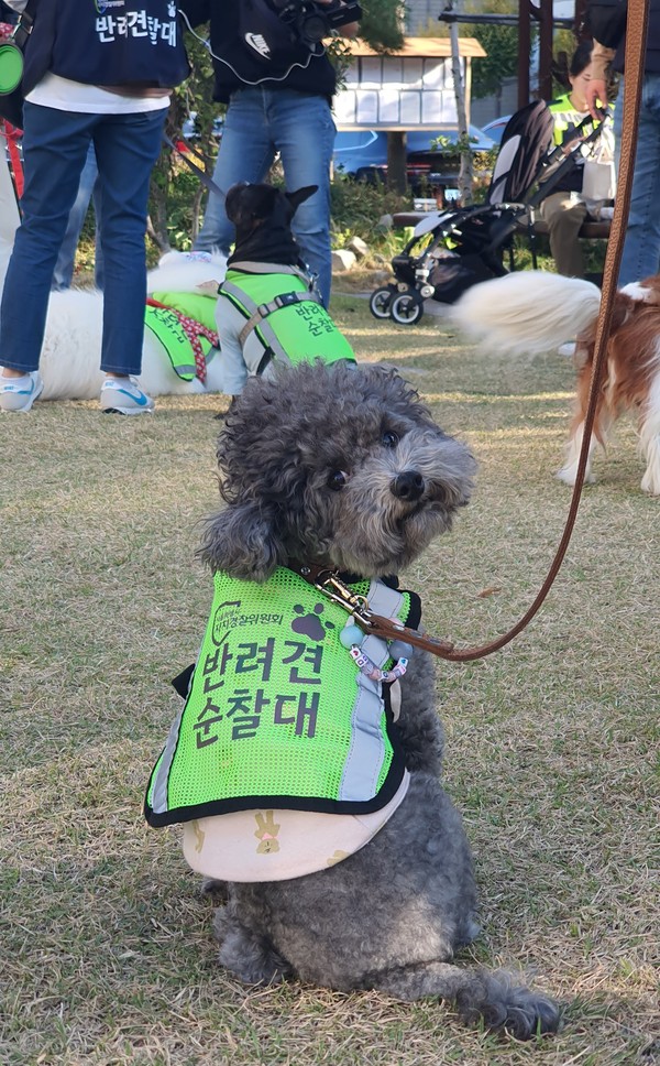 ▲ 댕댕이 순찰대 강아지.