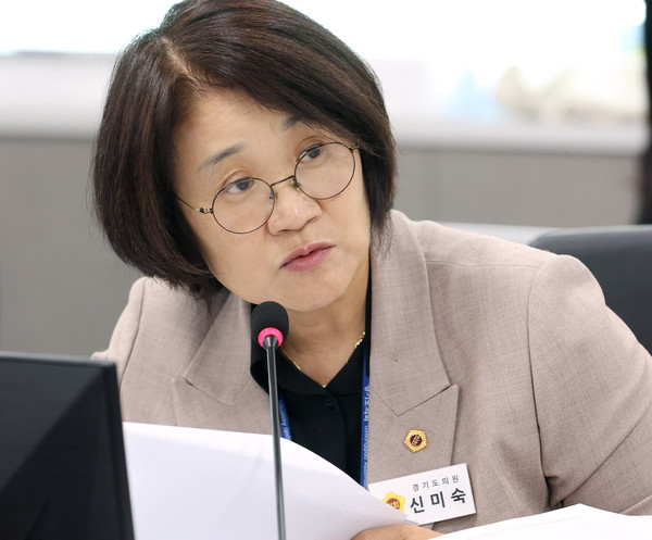 ▲ 경기도의회 신미숙 의원.