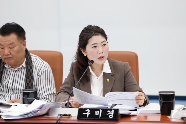 ▲ 회의에서 발언하는 구미경 의원.