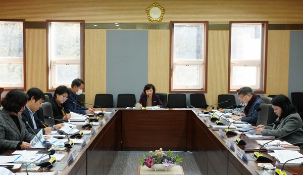 ▲ '돌봄취약계층을 위한 사회안전망구축 연구회' 최종보고회 모습.