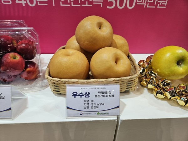 ▲ 남양주먹골배.
