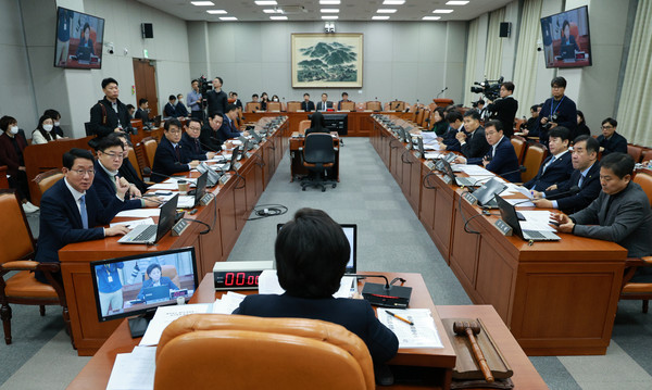 ▲ 남인순 정치개혁특별위원회 위원장이 정치개혁특별위원회 전체회의를 주재하고 있다. /뉴시스