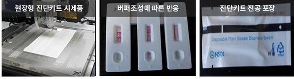 ▲ 현장형 진단키트 시제품 제작 과정.